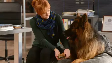 Komisarz Alex - galeria zdjęć - filmweb