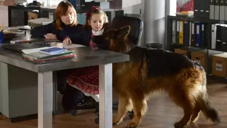 Komisarz Alex - galeria zdjęć - filmweb