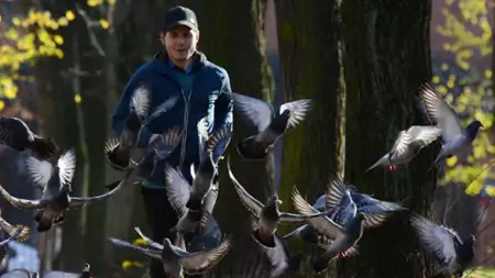 Komisarz Alex - galeria zdjęć - filmweb