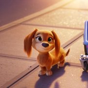 Paw Patrol: The Movie - galeria zdjęć - filmweb