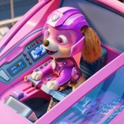 Paw Patrol: The Movie - galeria zdjęć - filmweb