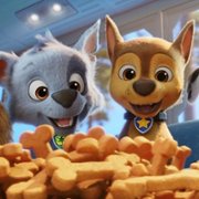 Paw Patrol: The Movie - galeria zdjęć - filmweb