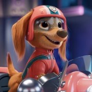Paw Patrol: The Movie - galeria zdjęć - filmweb