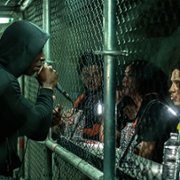 Validé - galeria zdjęć - filmweb