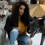 Validé - galeria zdjęć - filmweb