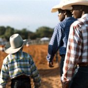 Bull - galeria zdjęć - filmweb