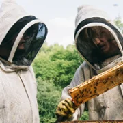 Bugonia - galeria zdjęć - filmweb