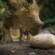 Wędrówki z dinozaurami - galeria zdjęć - filmweb