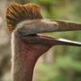 Wędrówki z dinozaurami - galeria zdjęć