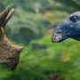 Wędrówki z dinozaurami - galeria zdjęć