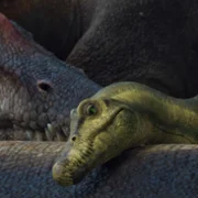 Wędrówki z dinozaurami - galeria zdjęć - filmweb