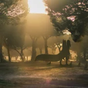 Wędrówki z dinozaurami - galeria zdjęć - filmweb