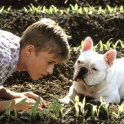 Wakacje Waltera - galeria zdjęć - filmweb