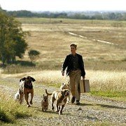 Wakacje Waltera - galeria zdjęć - filmweb