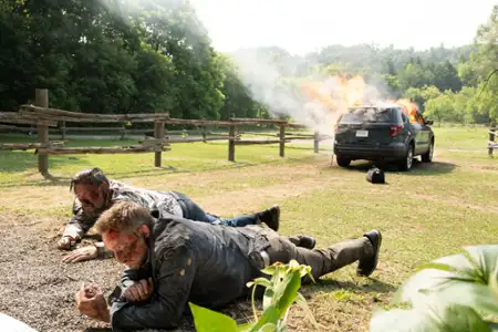 Sheriff Country - galeria zdjęć - filmweb