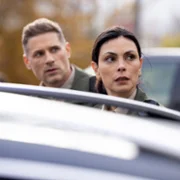 Sheriff Country - galeria zdjęć - filmweb