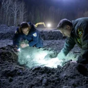 Sheriff Country - galeria zdjęć - filmweb