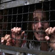 Captifs - galeria zdjęć - filmweb