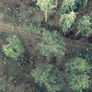 Biegacze - galeria zdjęć - filmweb