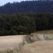 Biegacze - galeria zdjęć - filmweb