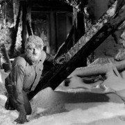 Frankenstein spotyka Człowieka Wilka - galeria zdjęć - filmweb