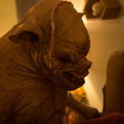 Stan Against Evil - galeria zdjęć - filmweb