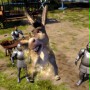 Shrek - galeria zdjęć