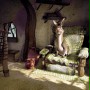 Shrek - galeria zdjęć