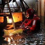 The Guardian - galeria zdjęć - filmweb