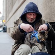 Cat Daddies - galeria zdjęć - filmweb