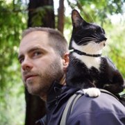 Kociarze - galeria zdjęć - filmweb