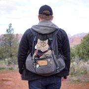 Cat Daddies - galeria zdjęć - filmweb