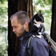 Cat Daddies - galeria zdjęć - filmweb