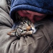 Cat Daddies - galeria zdjęć - filmweb