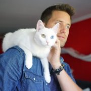 Cat Daddies - galeria zdjęć - filmweb