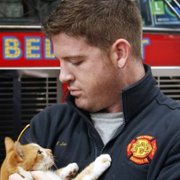 Cat Daddies - galeria zdjęć - filmweb