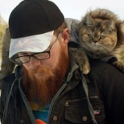 Cat Daddies - galeria zdjęć - filmweb