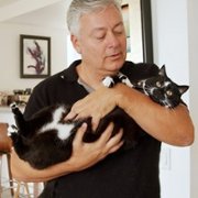 Cat Daddies - galeria zdjęć - filmweb