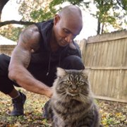 Cat Daddies - galeria zdjęć - filmweb