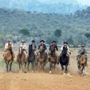 The Magnificent Seven - galeria zdjęć - filmweb