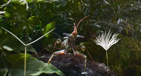 Dmuchawce - galeria zdjęć - filmweb