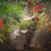 Plan&egrave;tes - galeria zdjęć - filmweb