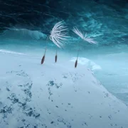 Plan&egrave;tes - galeria zdjęć - filmweb