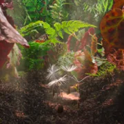 Plan&egrave;tes - galeria zdjęć - filmweb