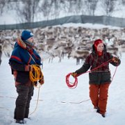 Stöld - galeria zdjęć - filmweb