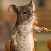 Mysz-masz na Święta - galeria zdjęć - filmweb