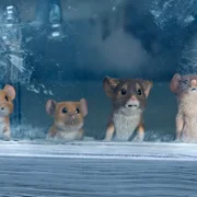 Hvis ingen går i fella - galeria zdjęć - filmweb