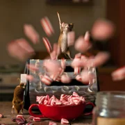 Hvis ingen går i fella - galeria zdjęć - filmweb