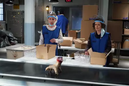The Conners - galeria zdjęć - filmweb