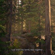 Life is Strange 2 - galeria zdjęć - filmweb